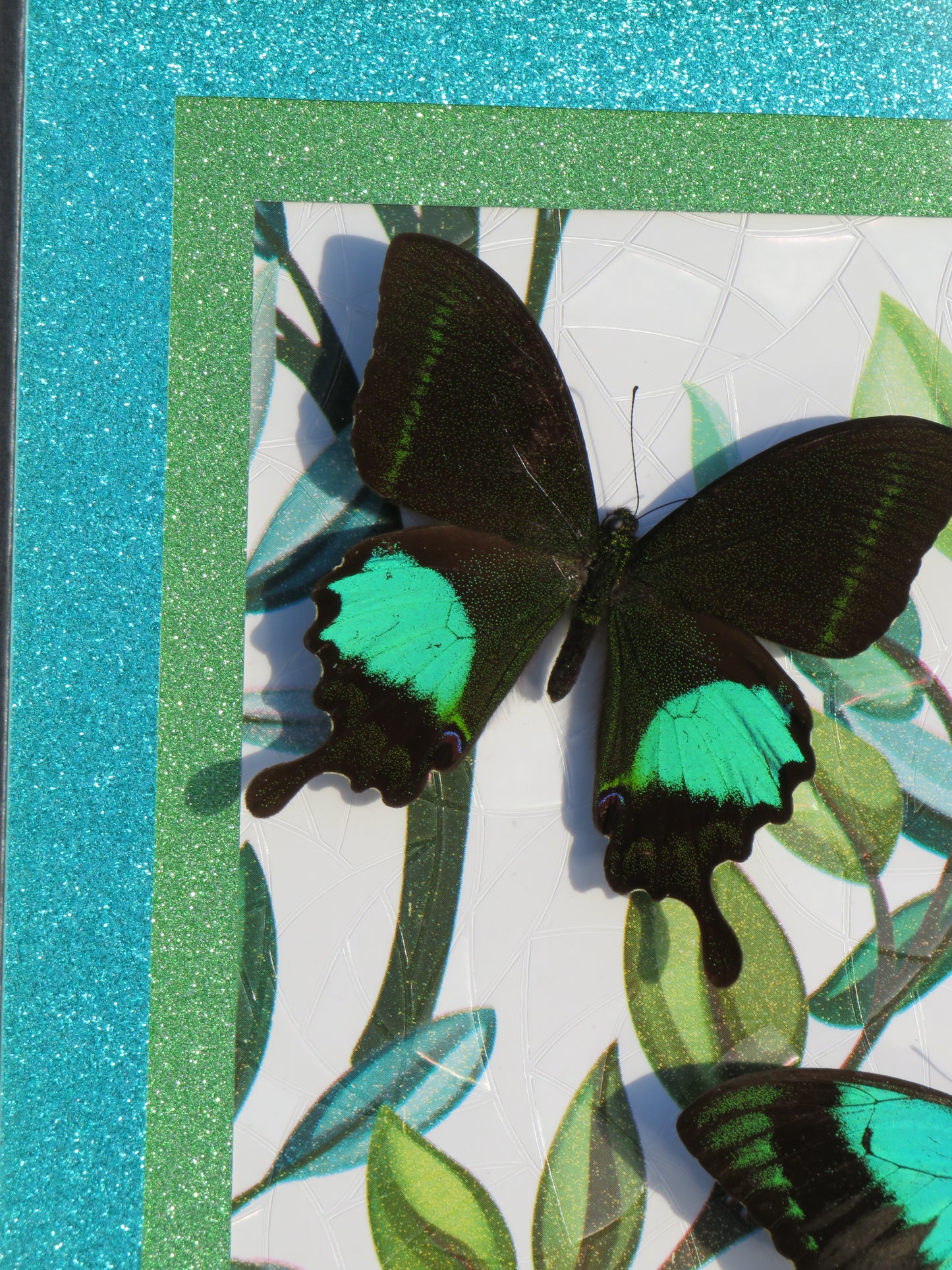 Envolée de papillons verts