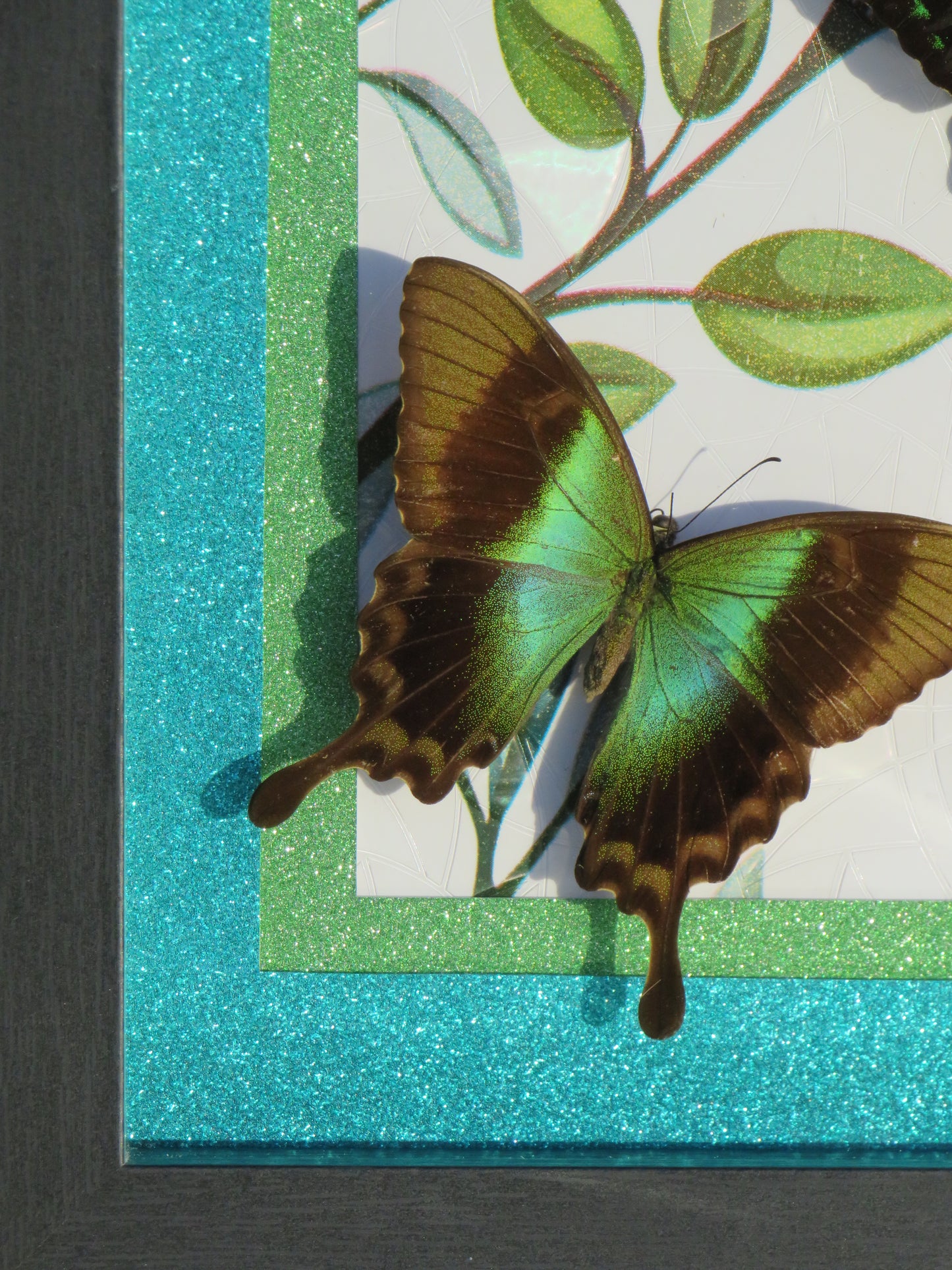 Envolée de papillons verts