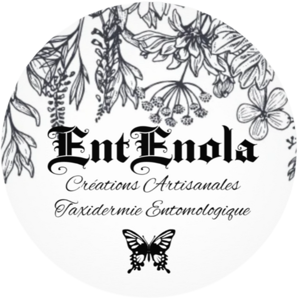 EntEnola