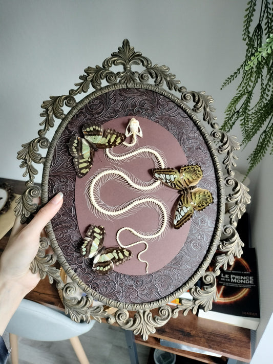 Squelette de serpent avec papillons