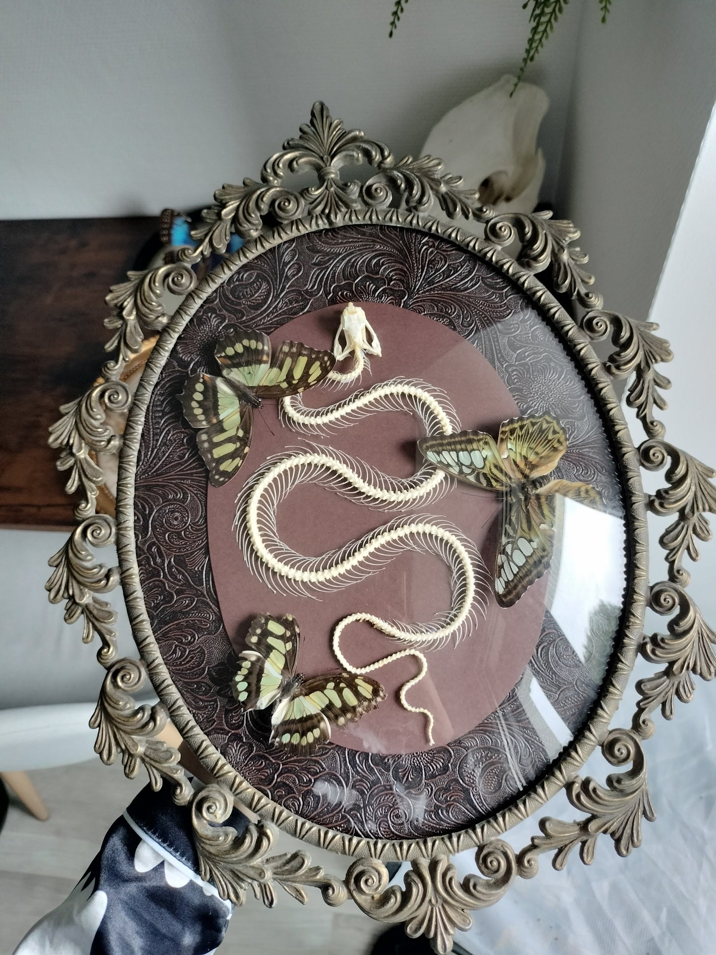 Squelette de serpent avec papillons