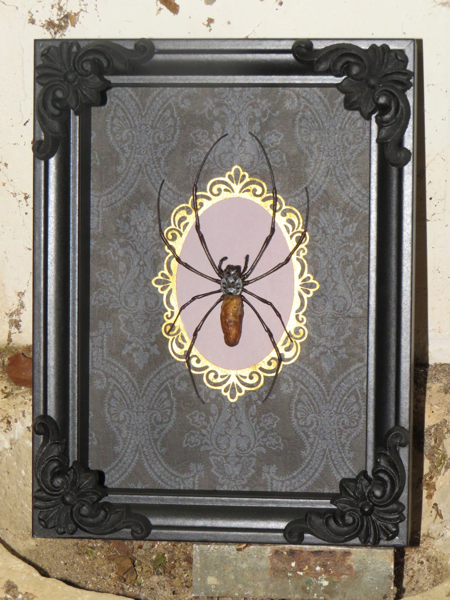 Araignée Nephila