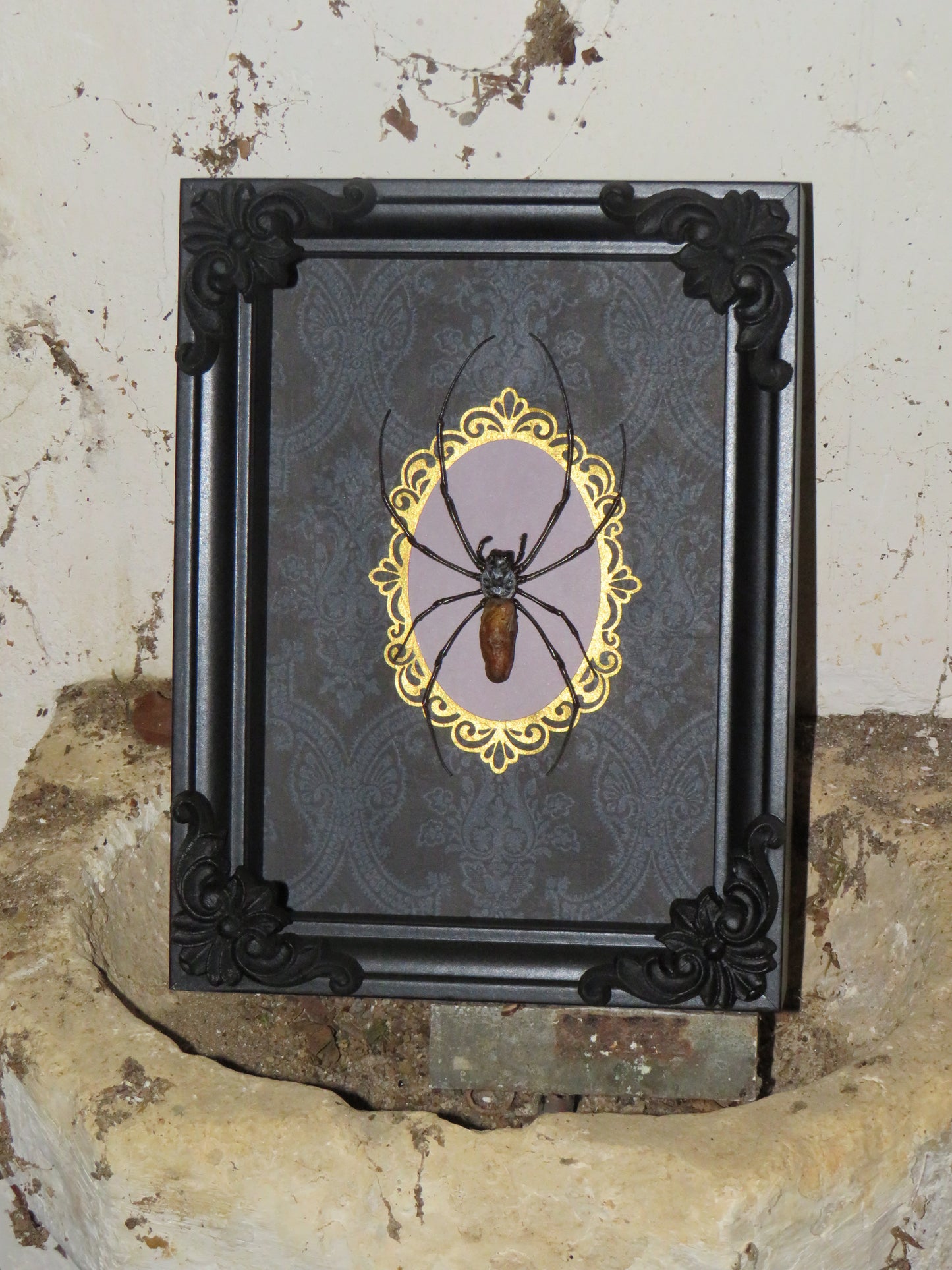 Araignée Nephila